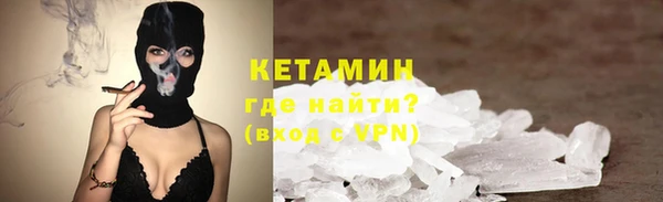 крисы Новодвинск