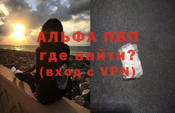 крисы Новодвинск