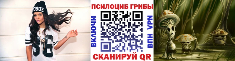 как найти закладки  Скопин  Псилоцибиновые грибы Cubensis 